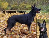 Djappes Yatzy